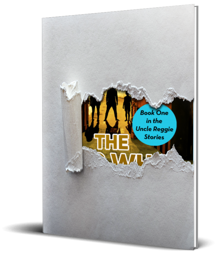 unrevealed cover art of The Kids Who Lived In A Hole
